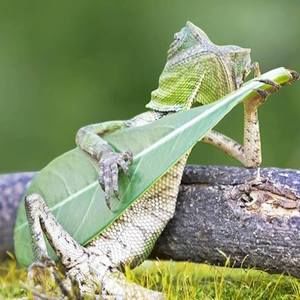 Meet your Posher, Jc